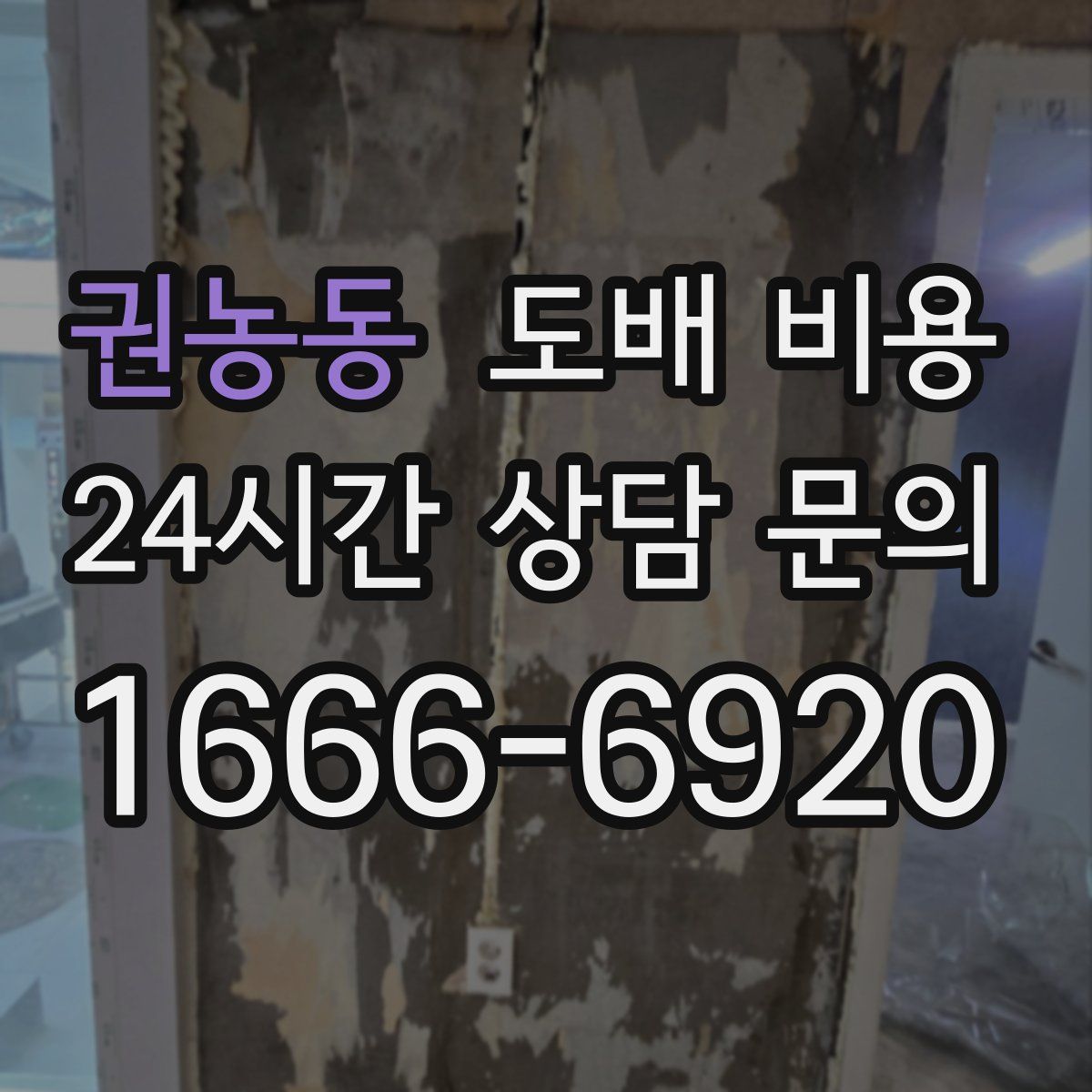권농동 도배 비용