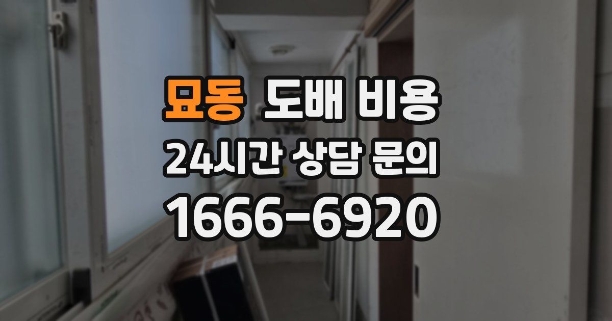 묘동 도배 비용