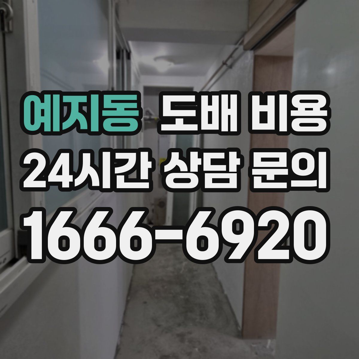 예지동 도배 비용