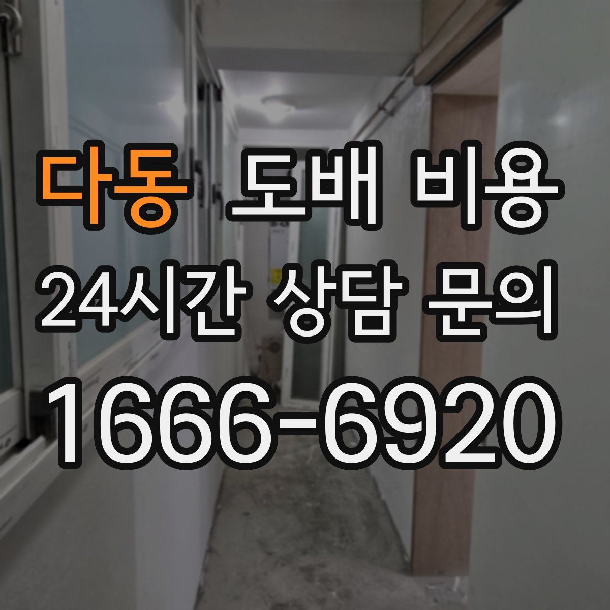 다동 도배 비용