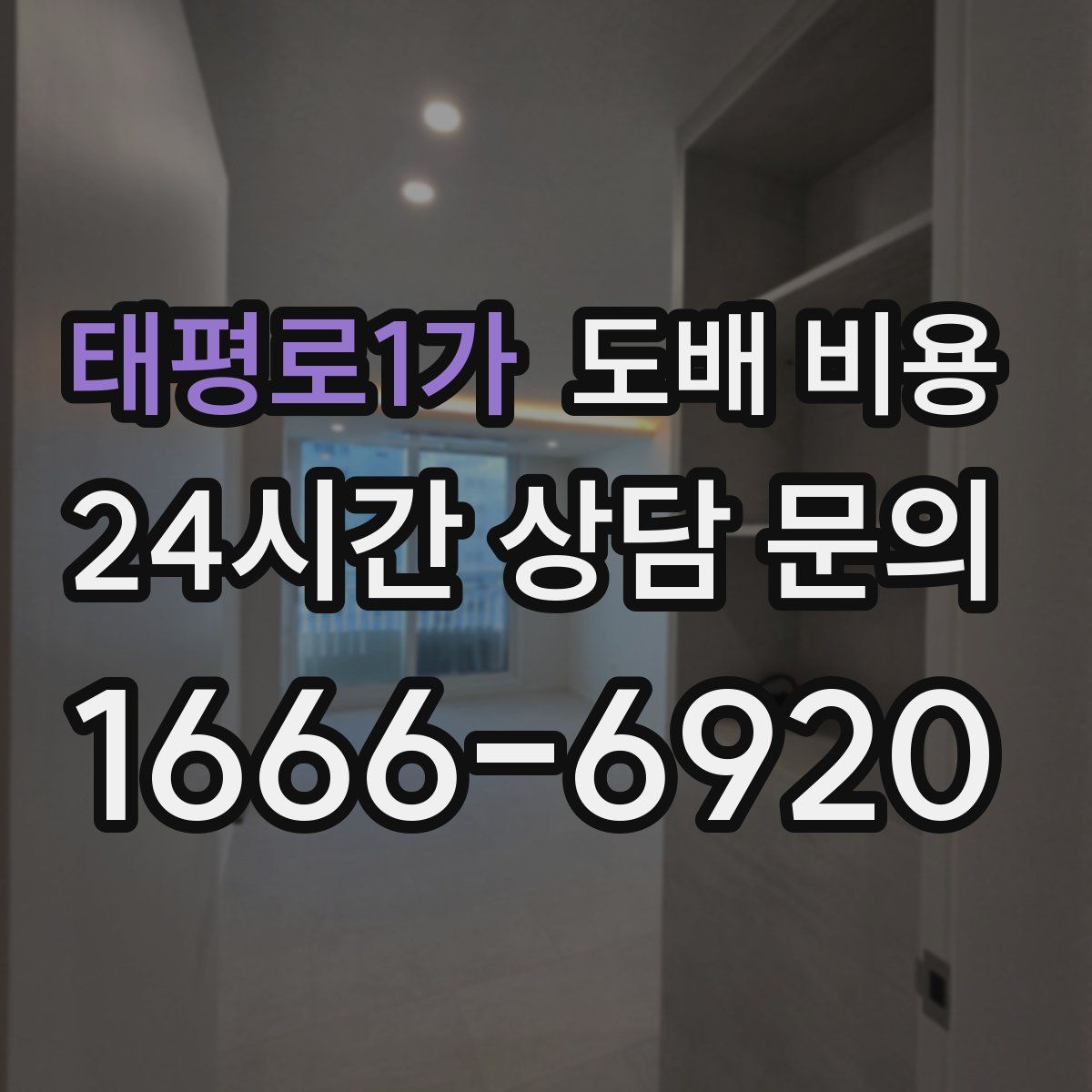 태평로1가 도배 비용