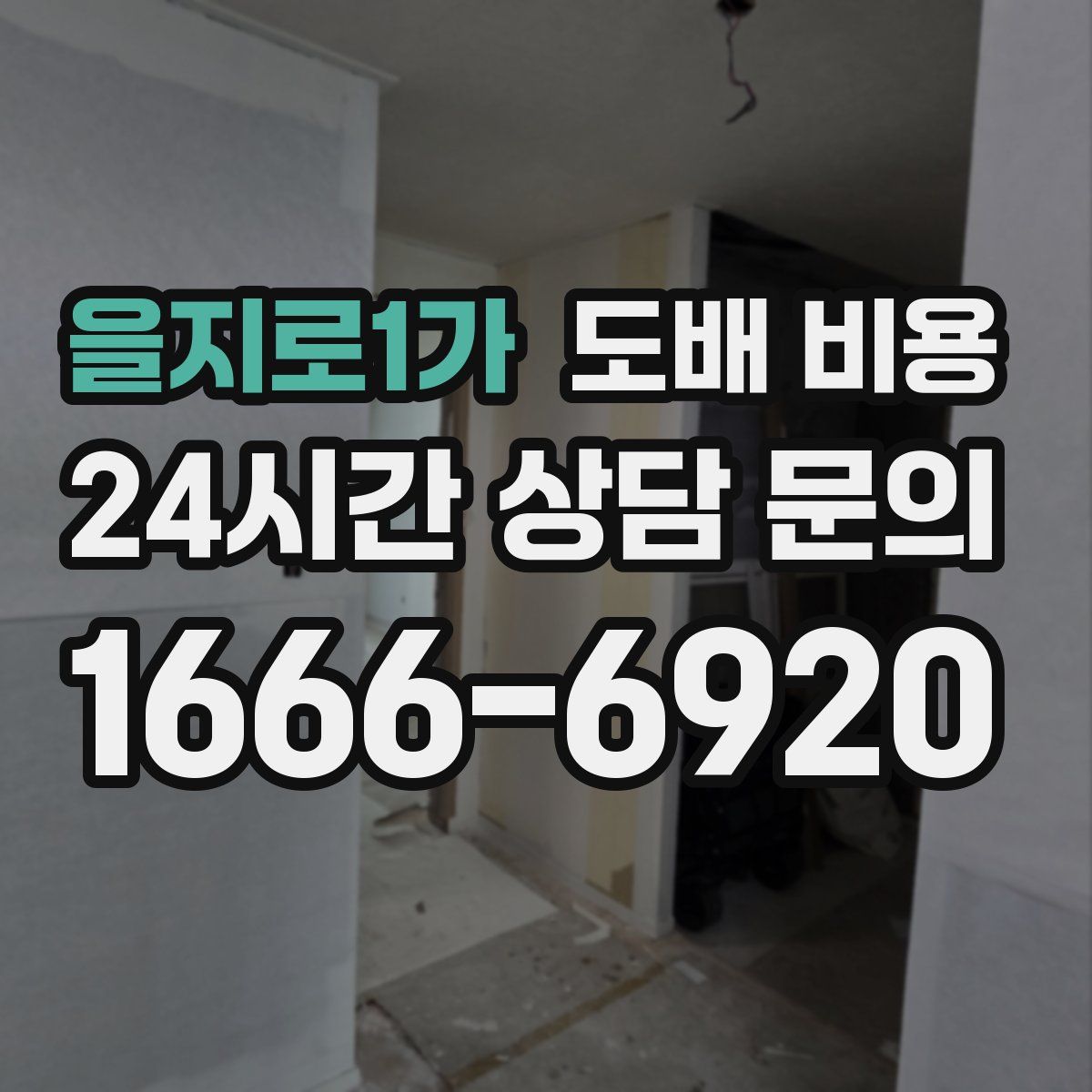 을지로1가 도배 비용