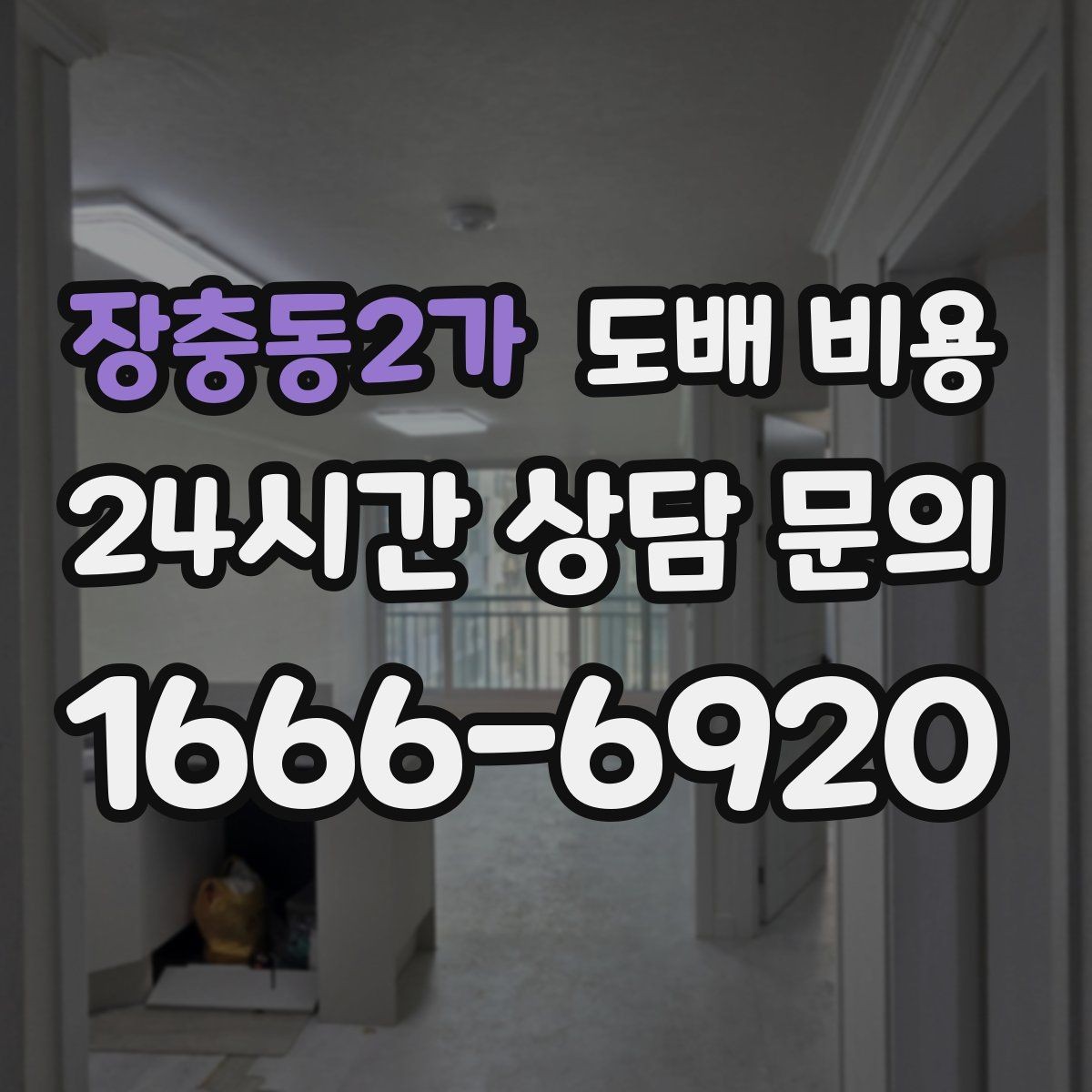 장충동2가 도배 비용 예산을 정할 때 참고할 점