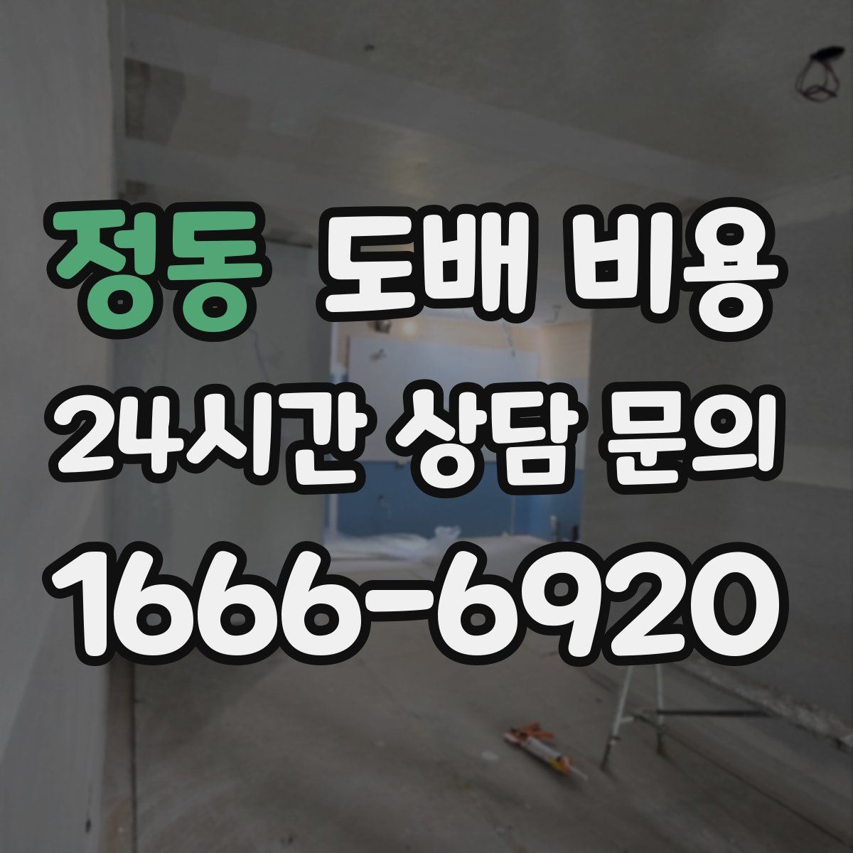 정동 도배 비용