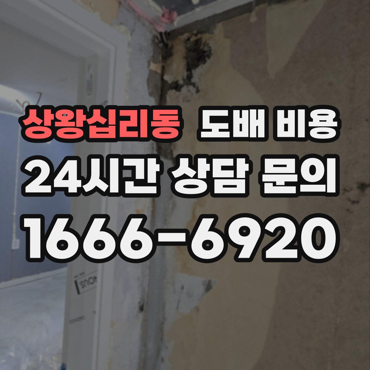 상왕십리동 도배 비용