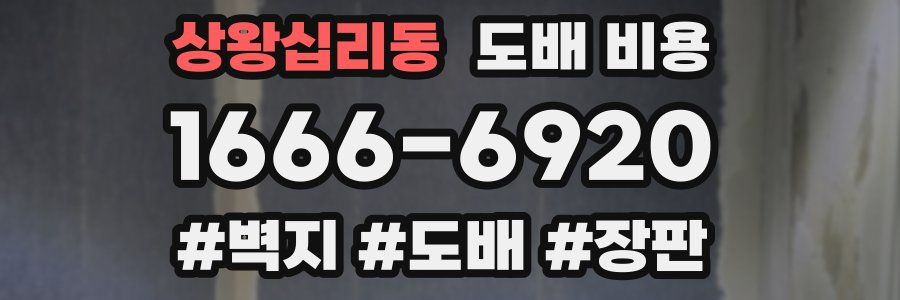 상왕십리동 도배 비용