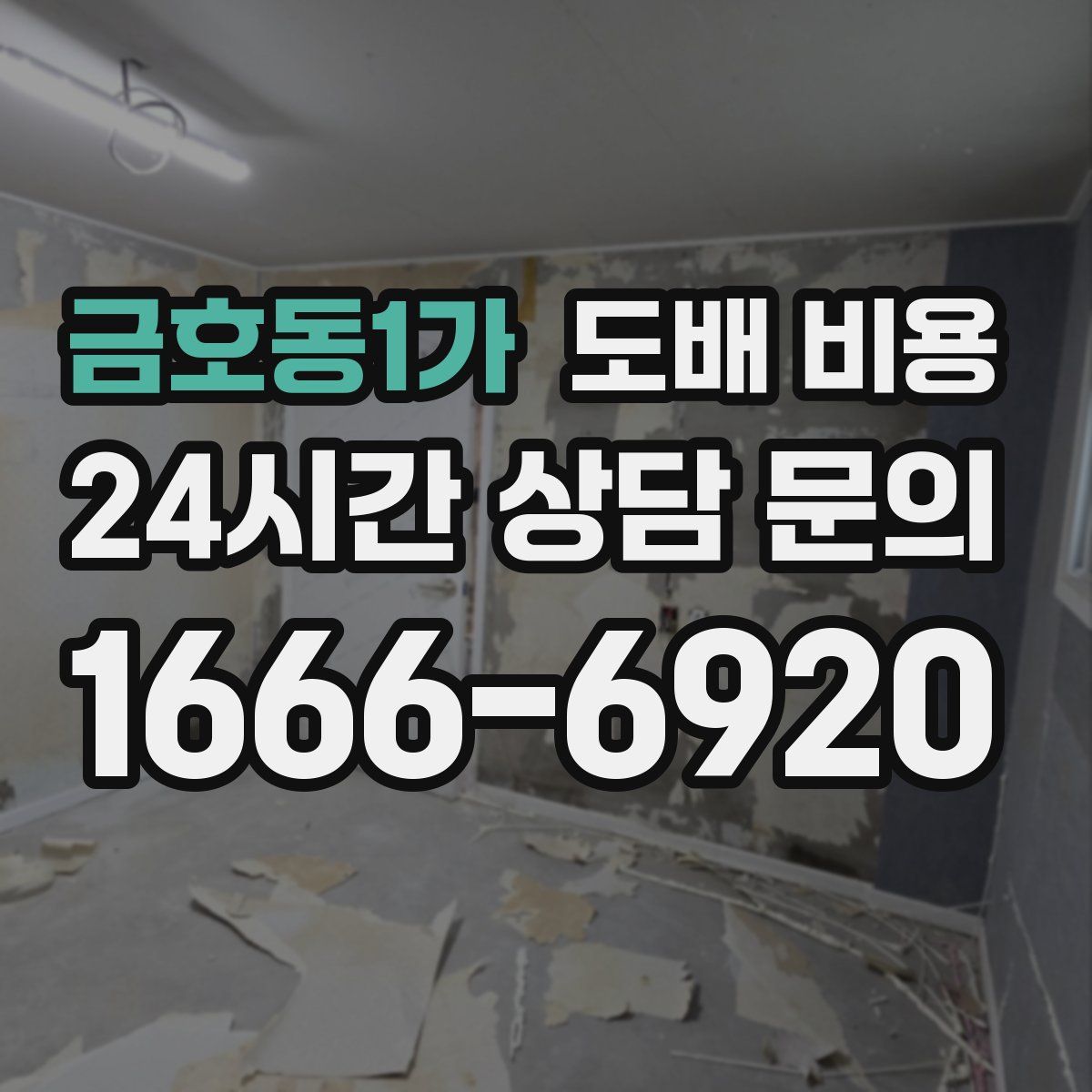 금호동1가 도배 비용