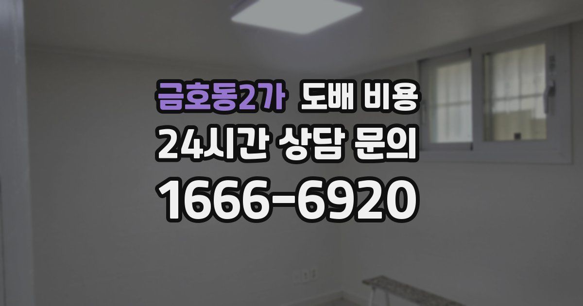 금호동2가 도배 비용