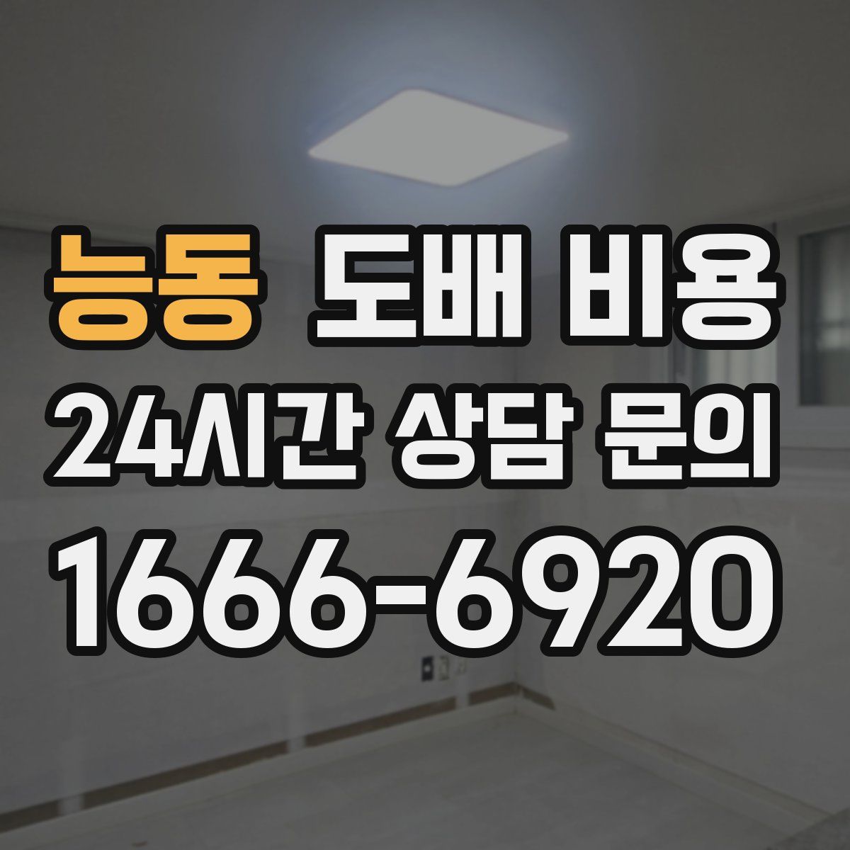 능동 도배 비용