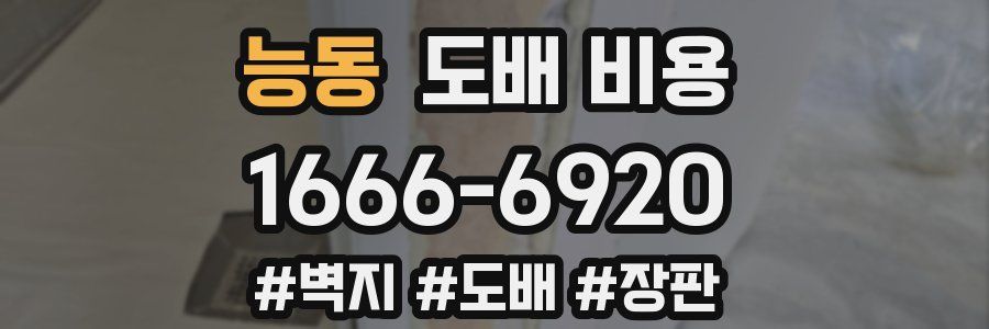 능동 도배 비용