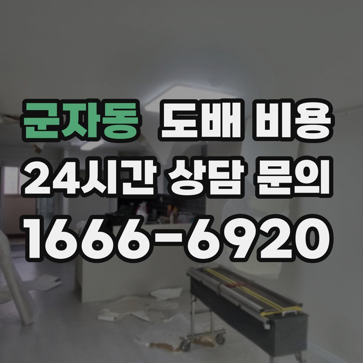 군자동 도배 비용