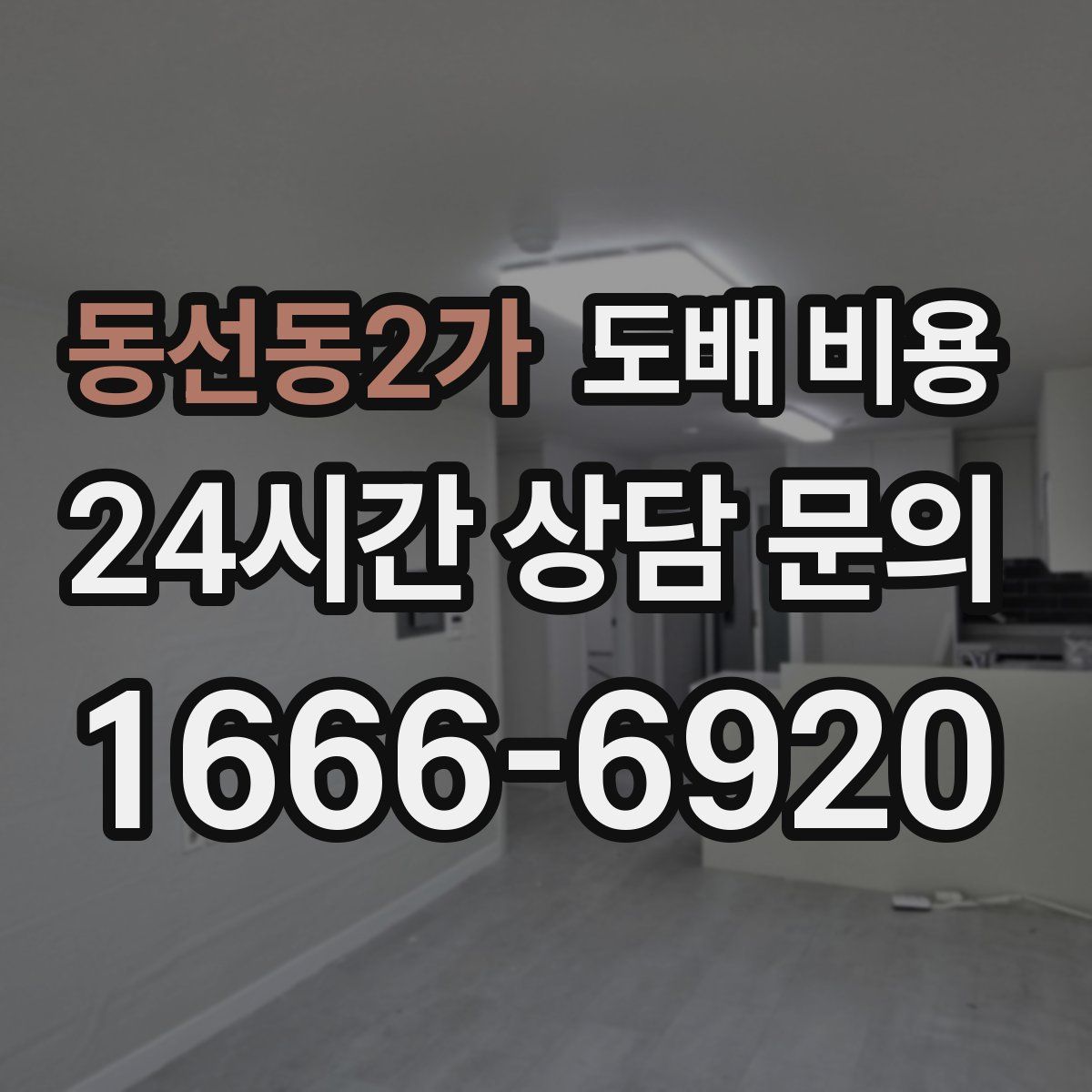 동선동2가 도배 비용