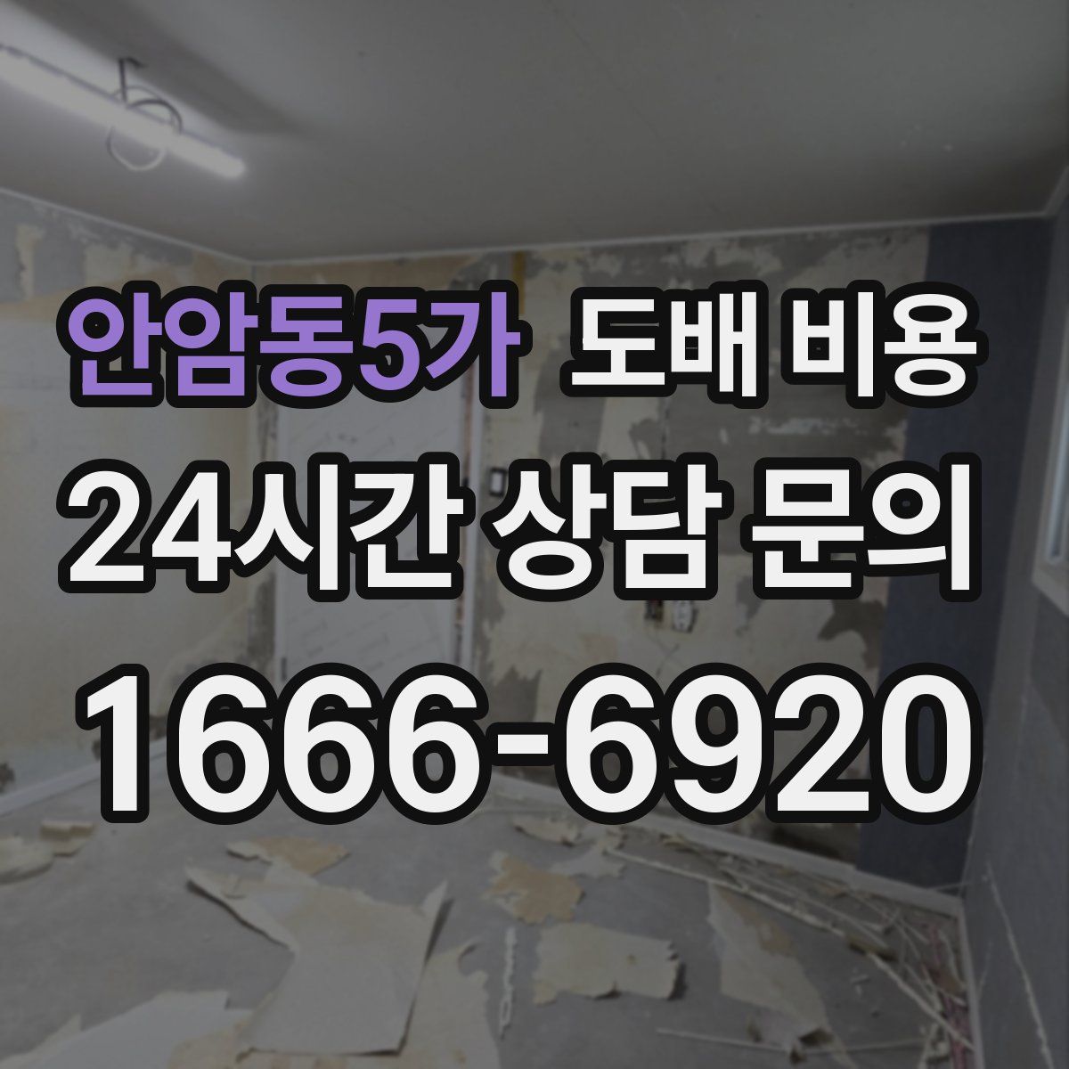 안암동5가 도배 비용