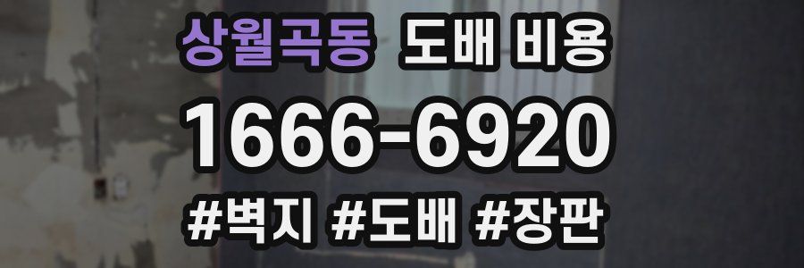 상월곡동 도배 비용