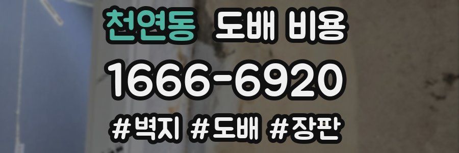 천연동 도배 비용