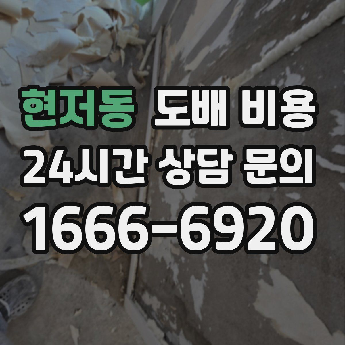 현저동 도배 비용