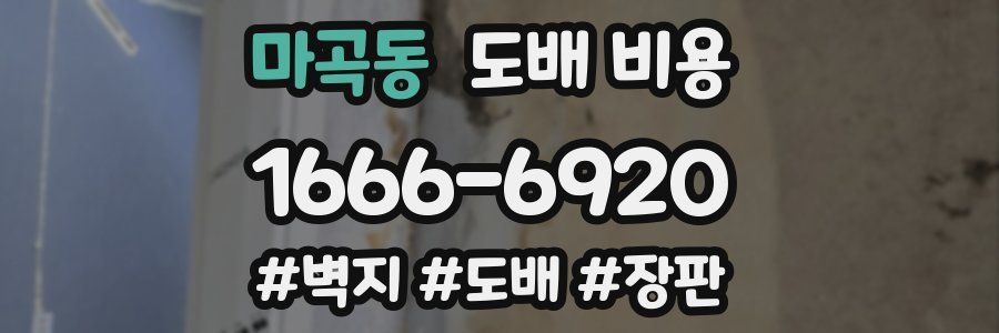 마곡동 도배 비용