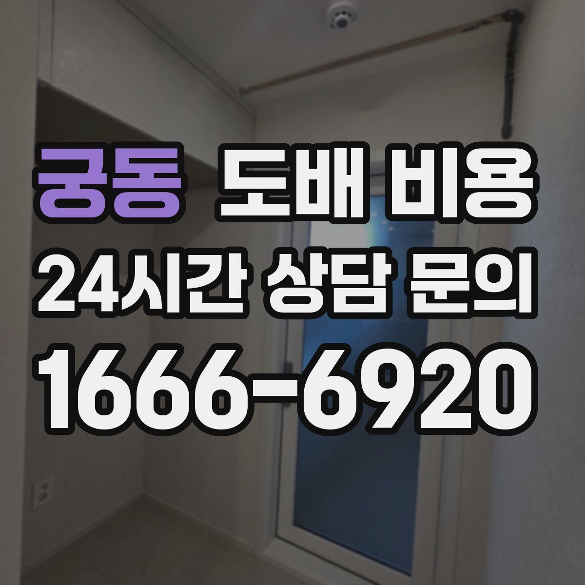 궁동 도배 비용