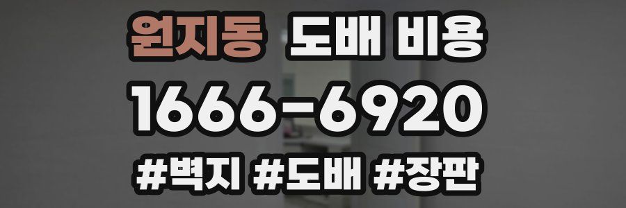 원지동 도배 비용