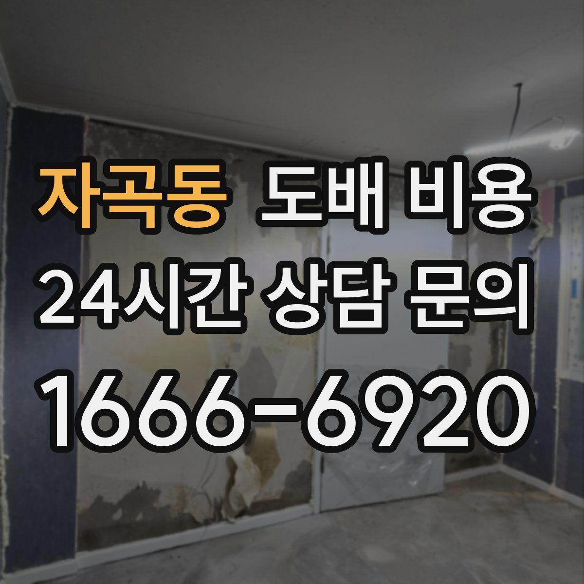 자곡동 도배 비용