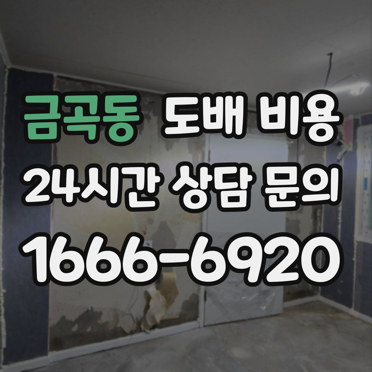 금곡동 도배 비용