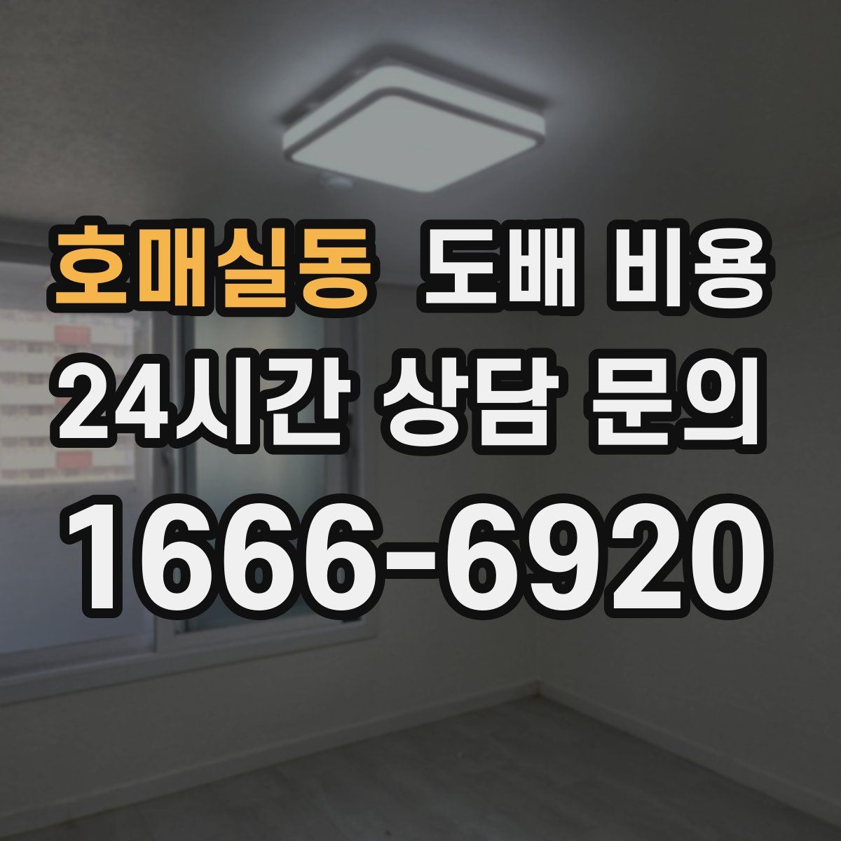 호매실동 도배 비용