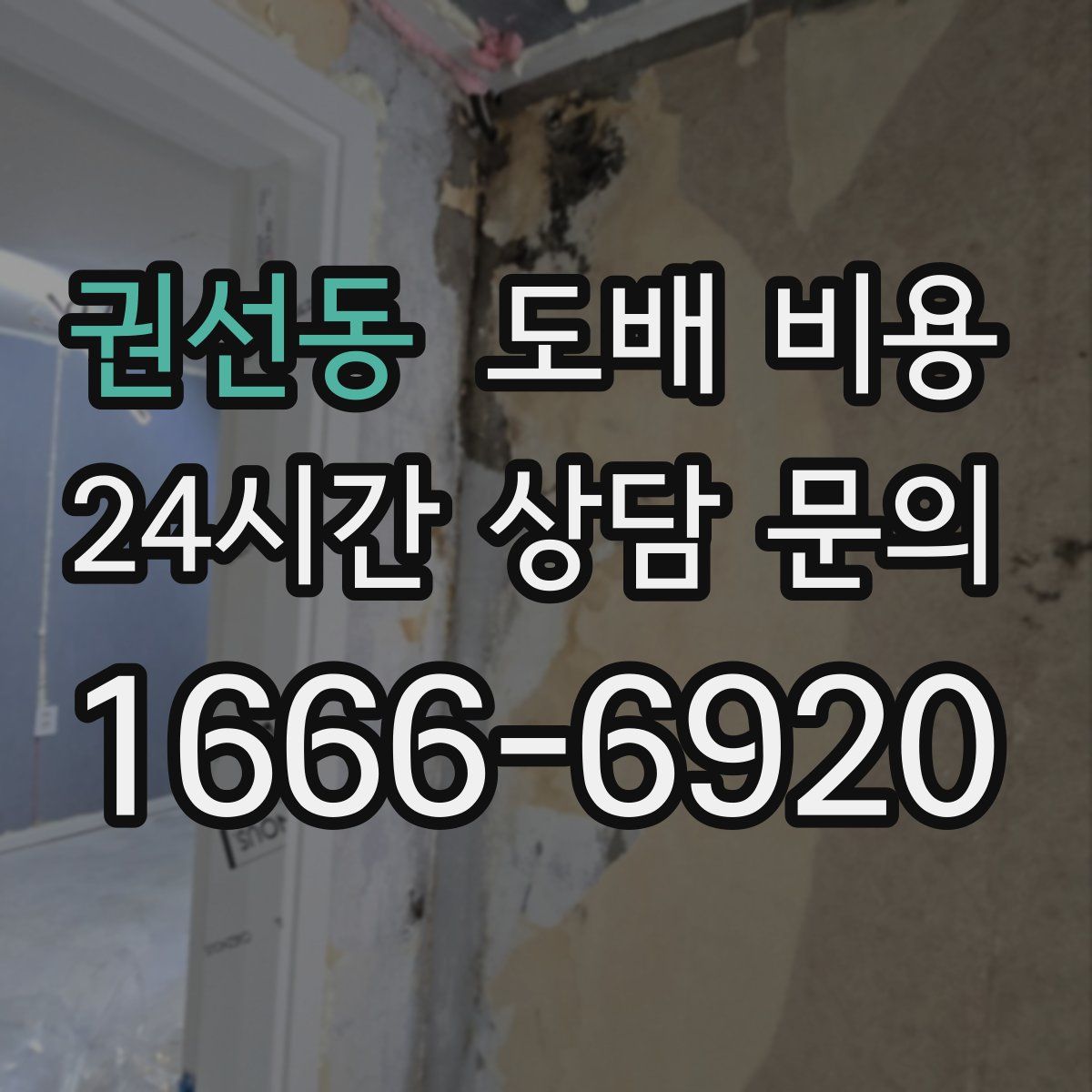 권선동 도배 비용