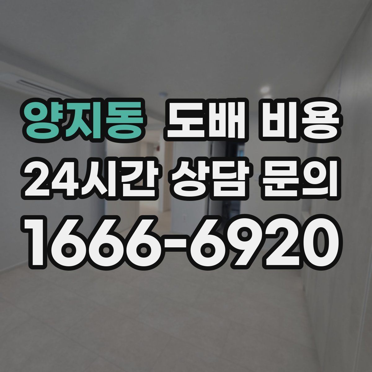 양지동 도배 비용