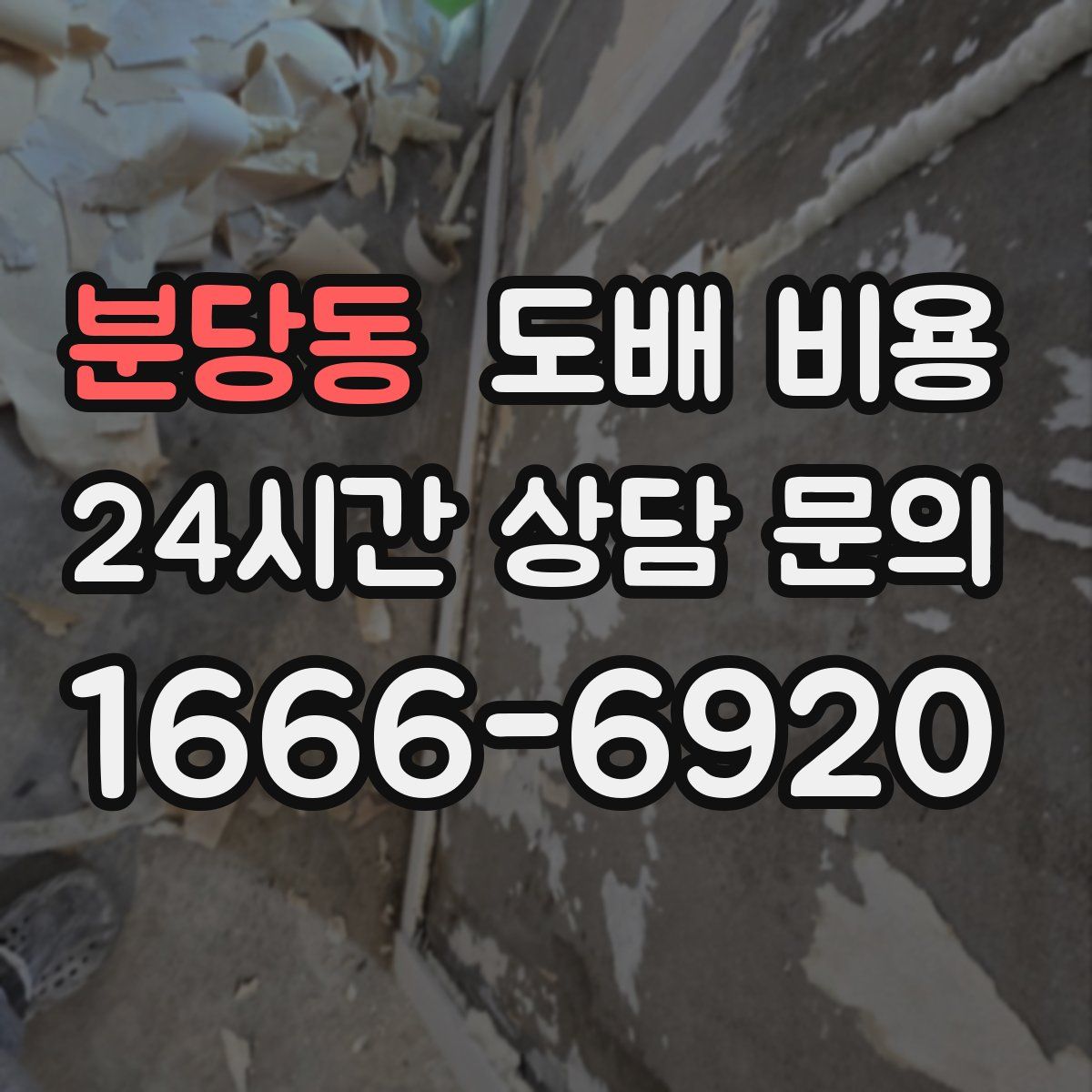 분당동 도배 비용