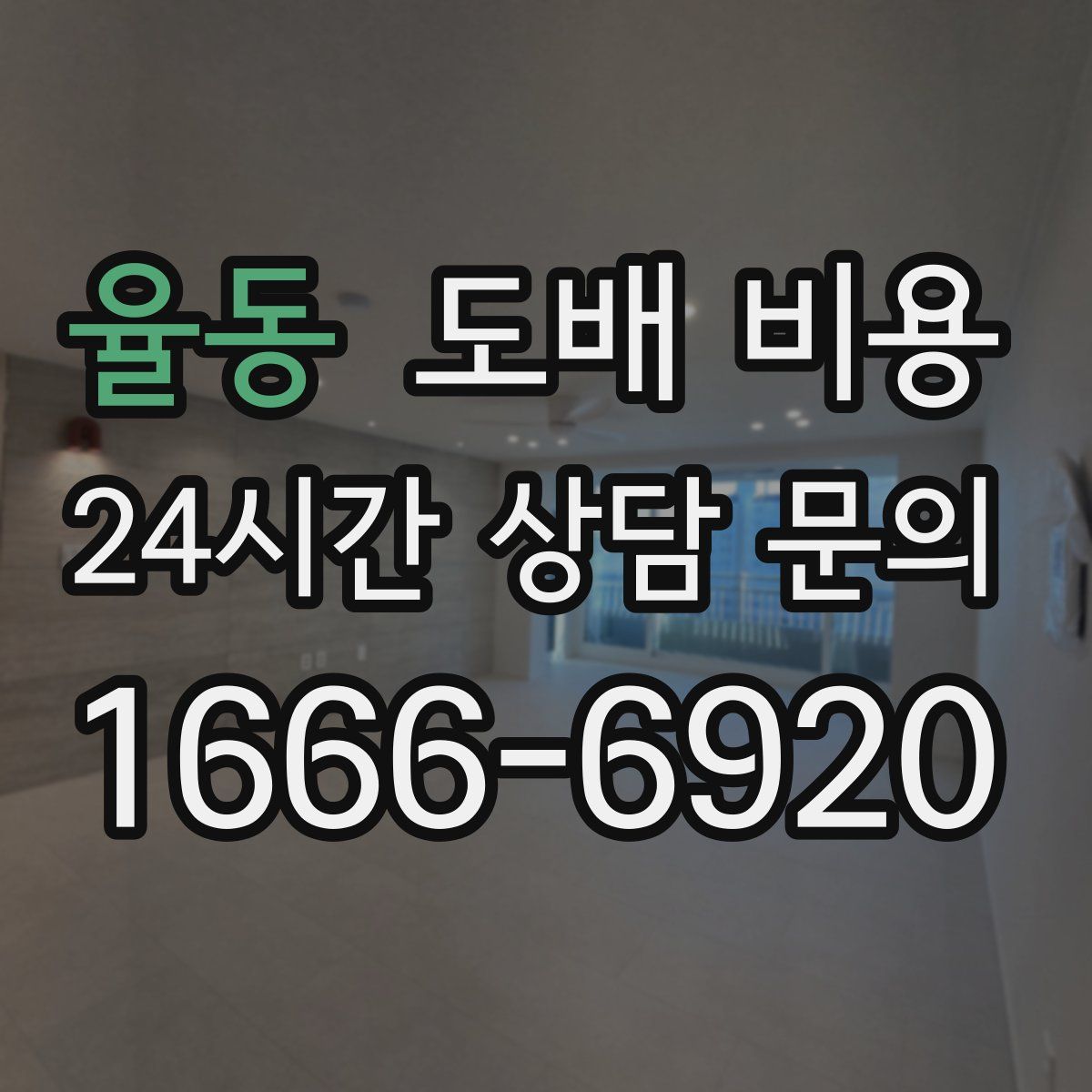 율동 도배 비용