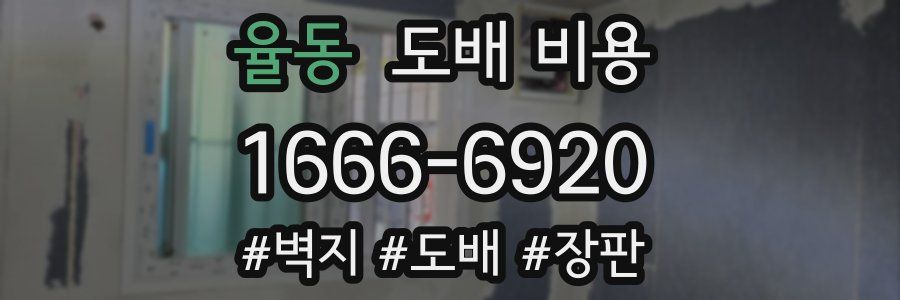 율동 도배 비용