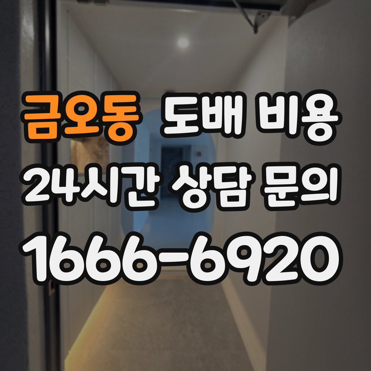 금오동 도배 비용