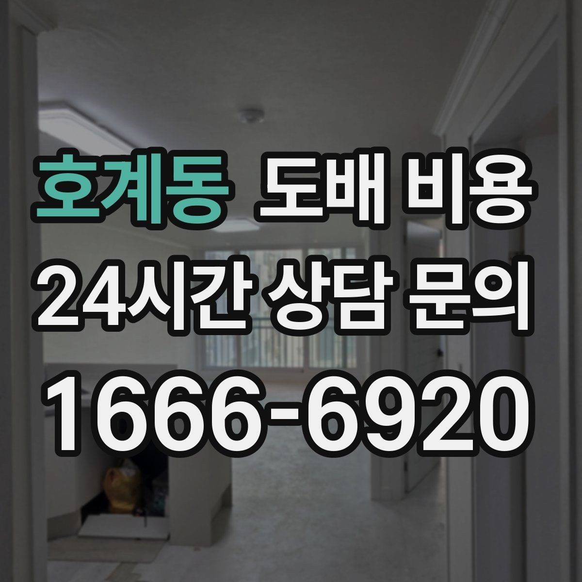 호계동 도배 비용 예상 견적을 볼 때 유의할 점