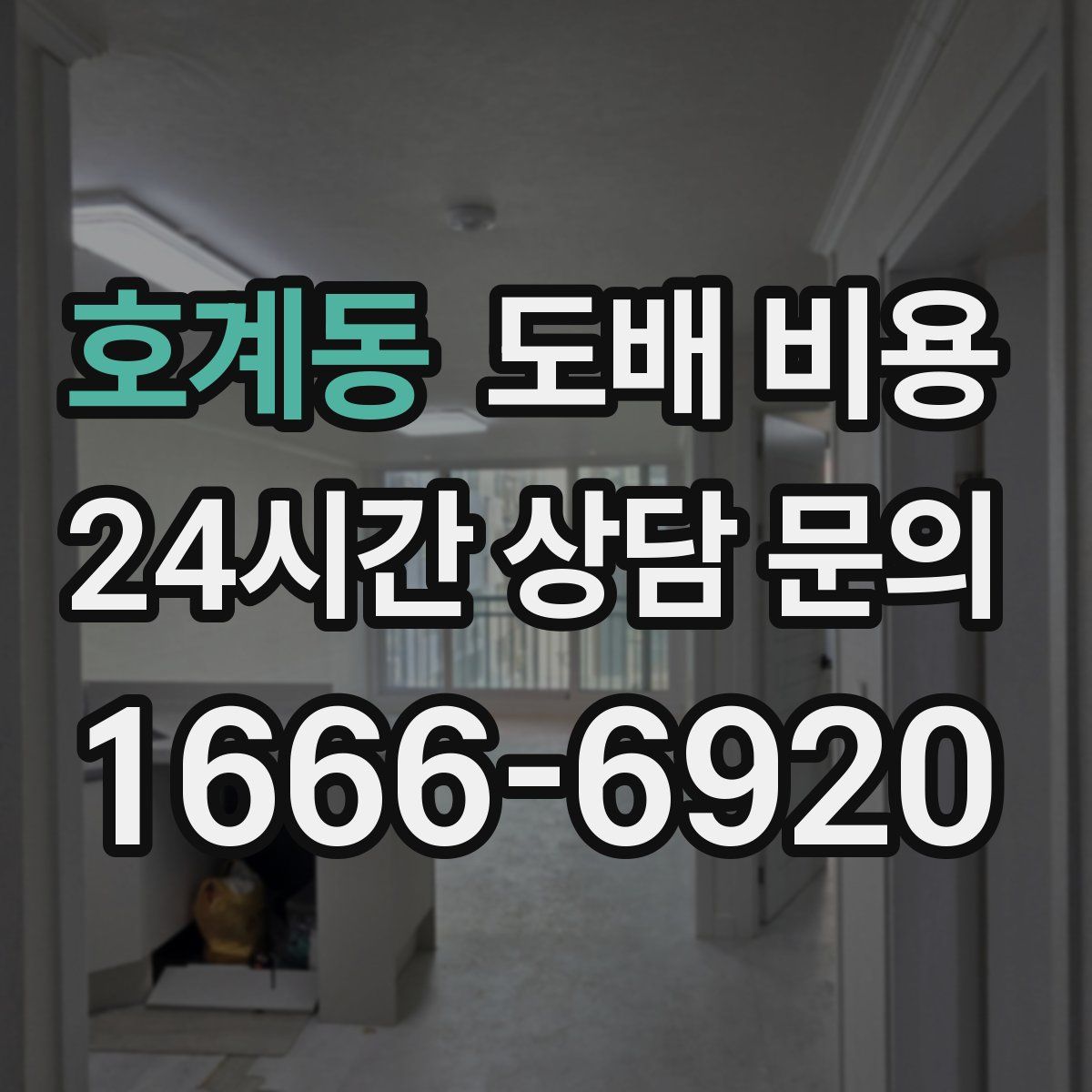 호계동 도배 비용