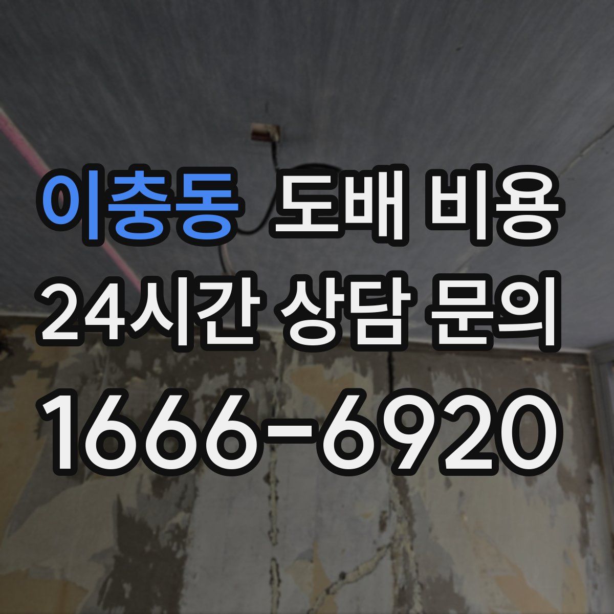 이충동 도배 비용