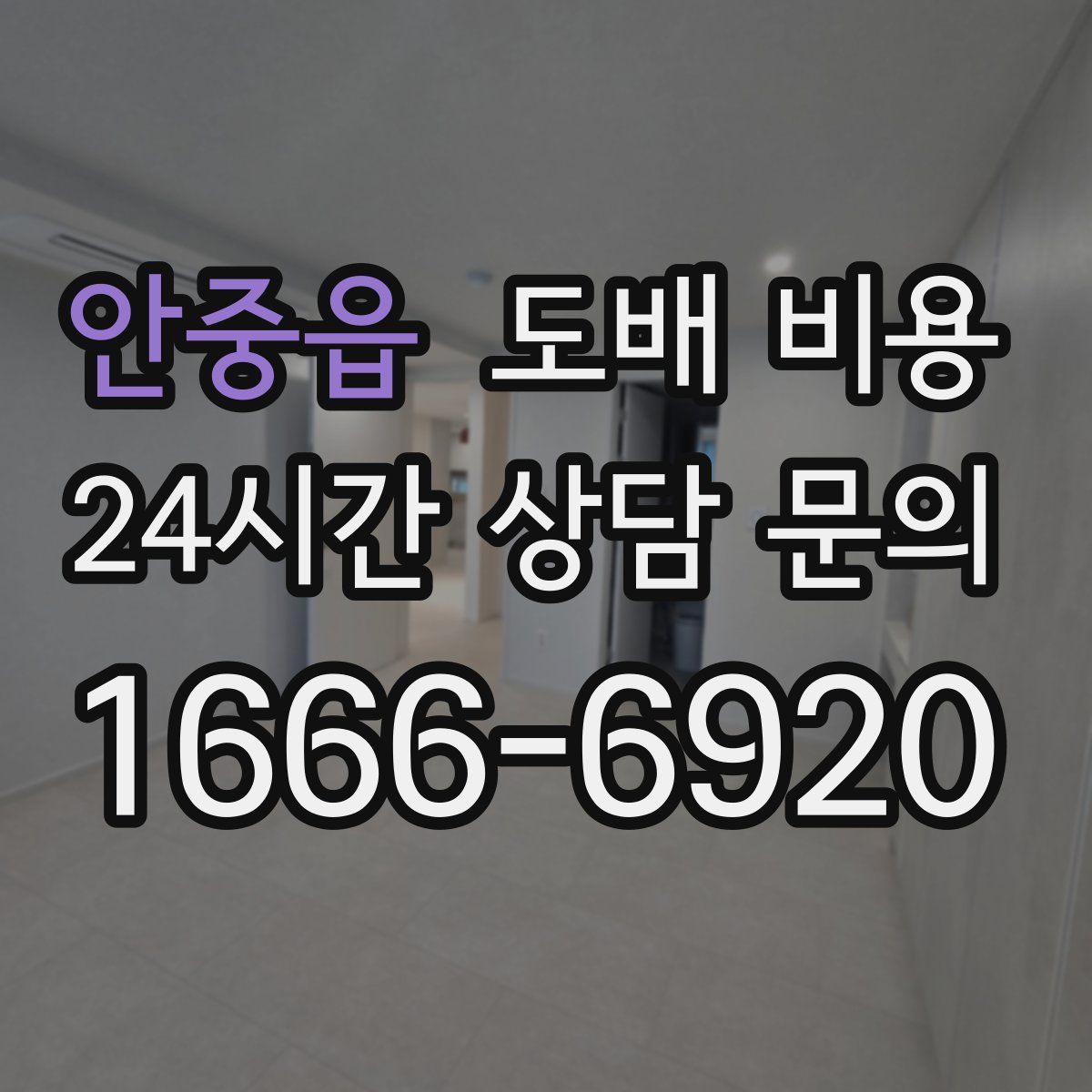 안중읍 도배 비용