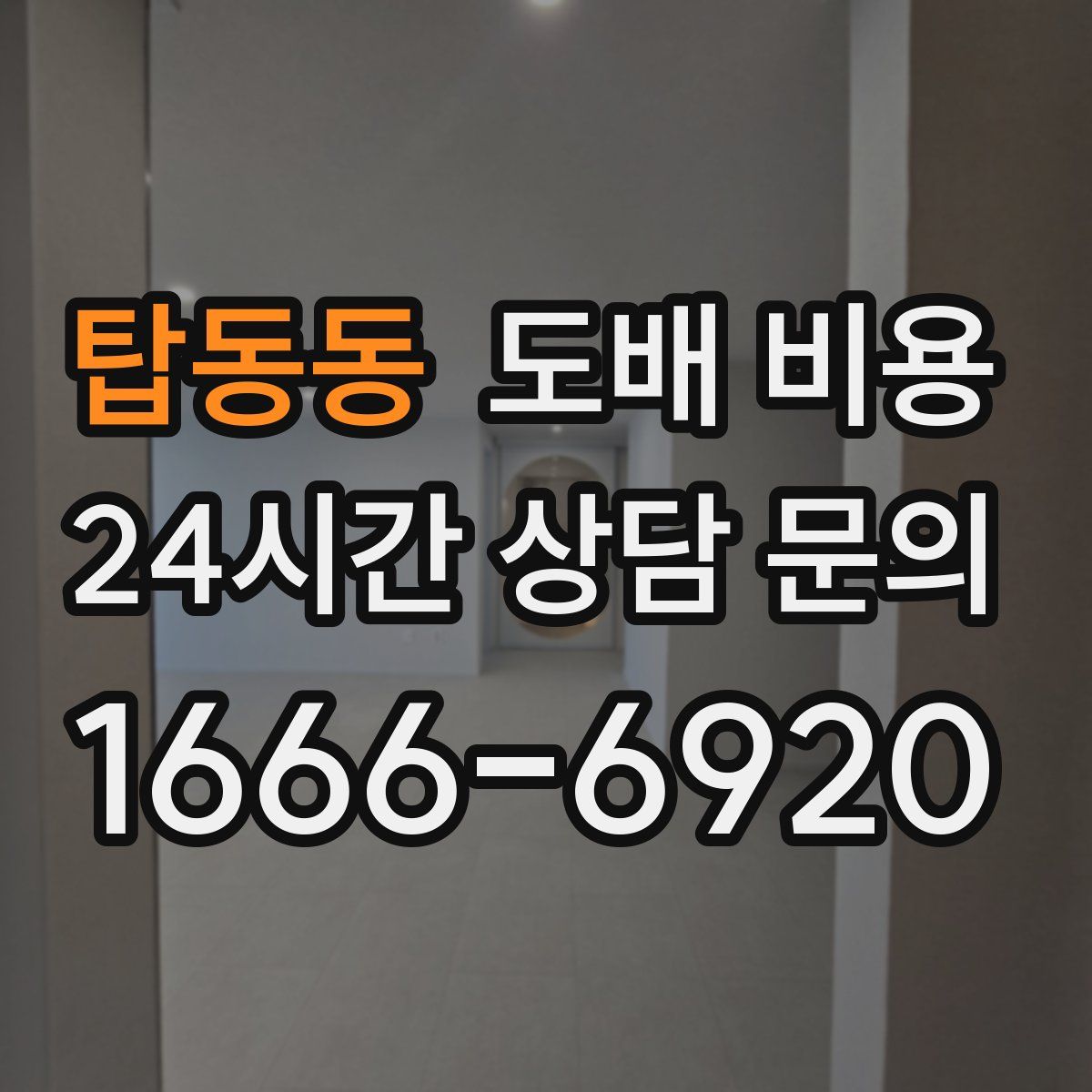 탑동동 도배 비용