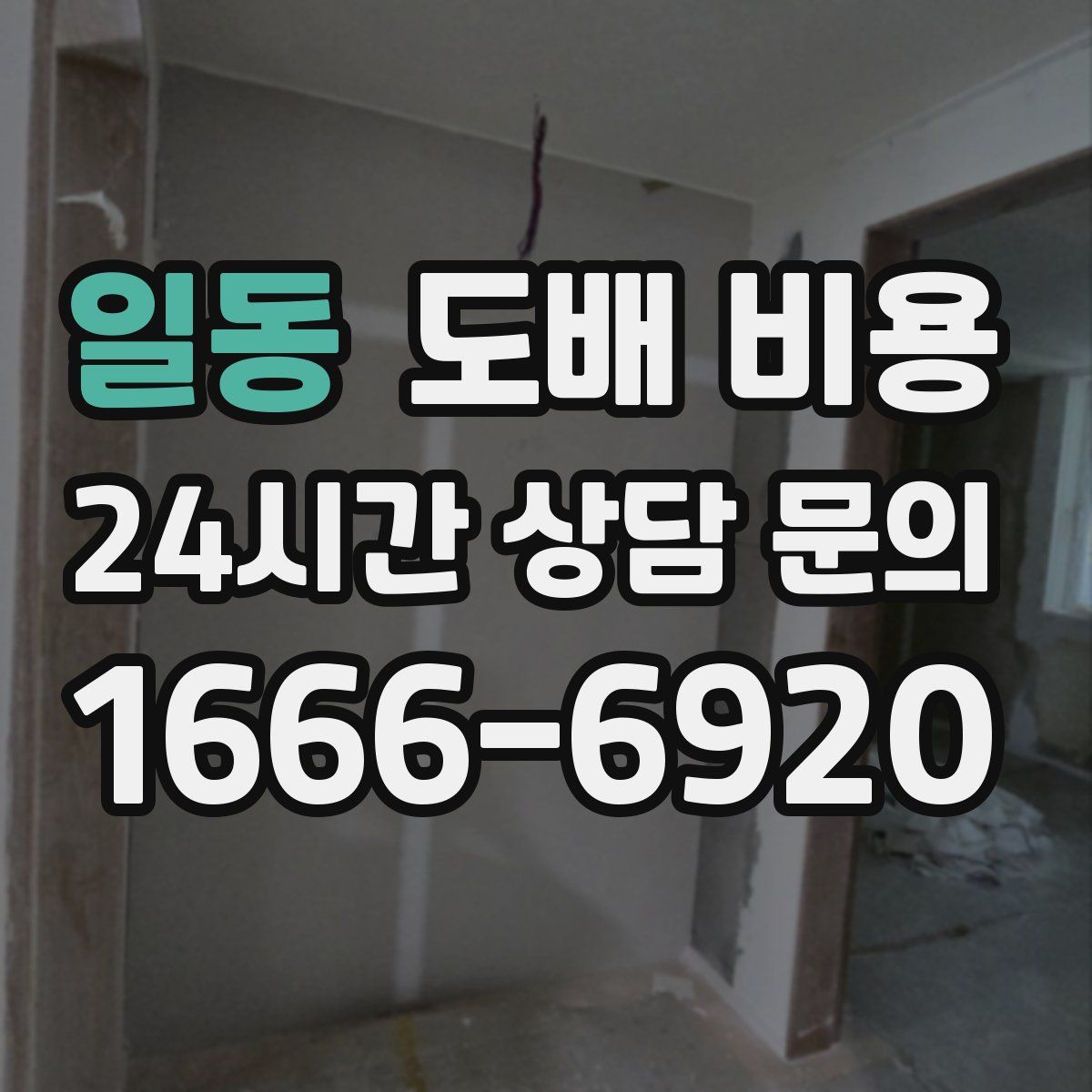 일동 도배 비용