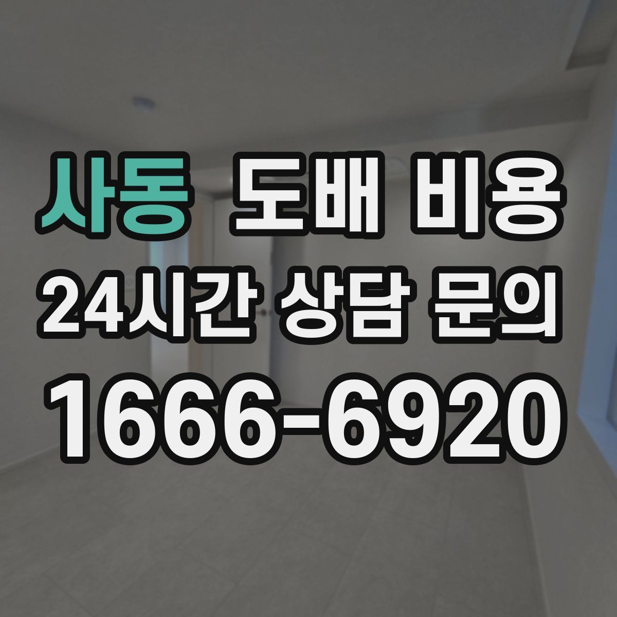사동 도배 비용