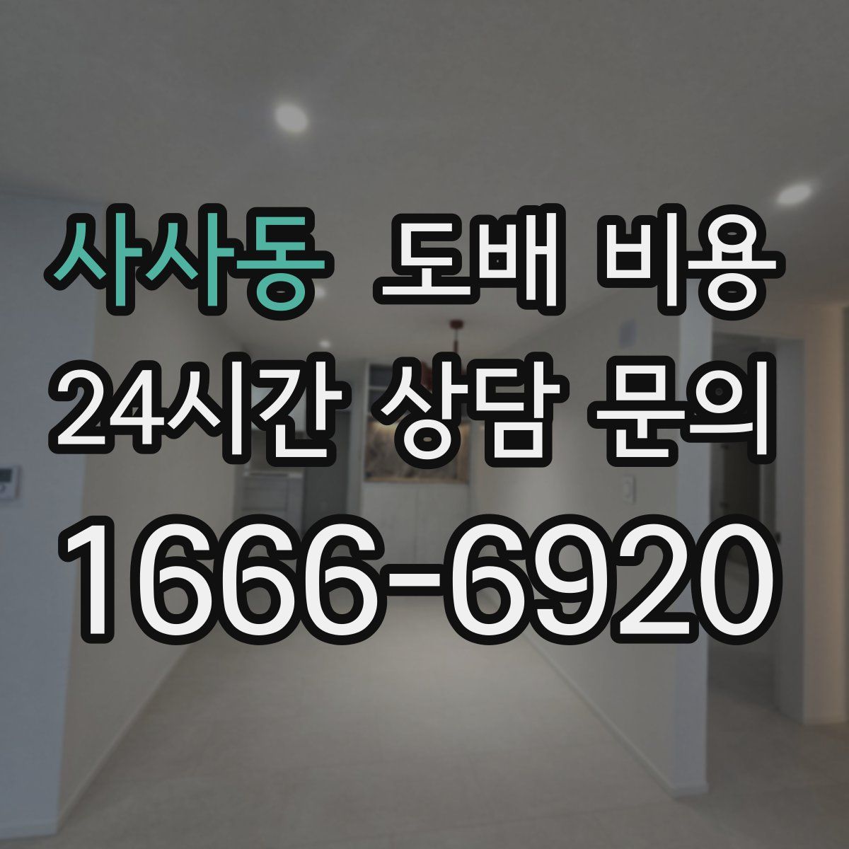 사사동 도배 비용