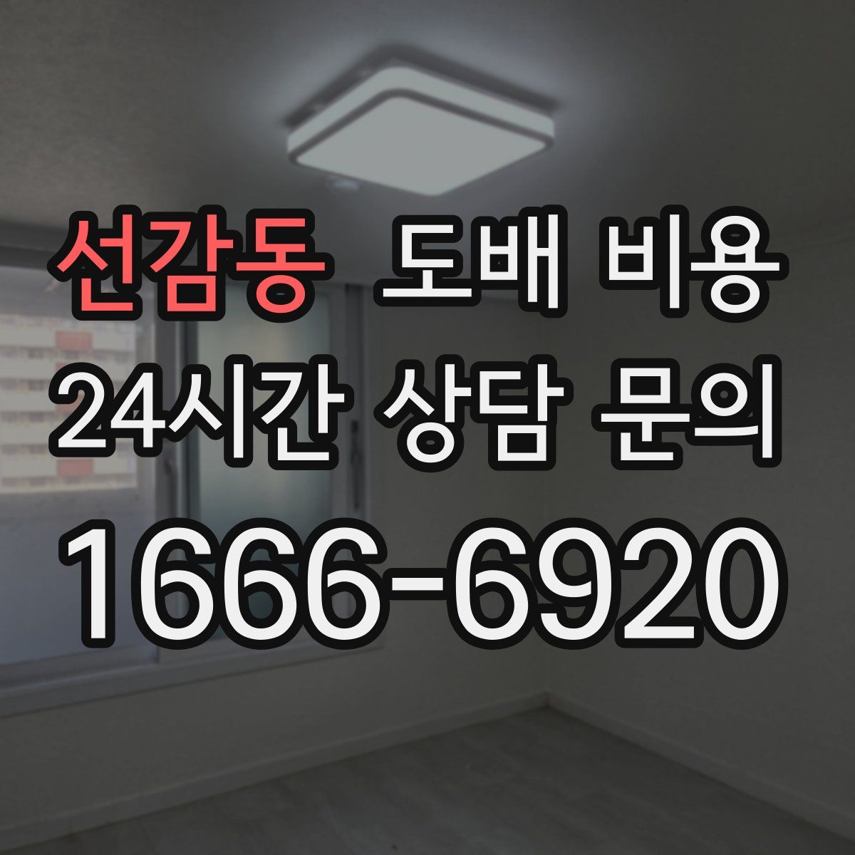 선감동 도배 비용