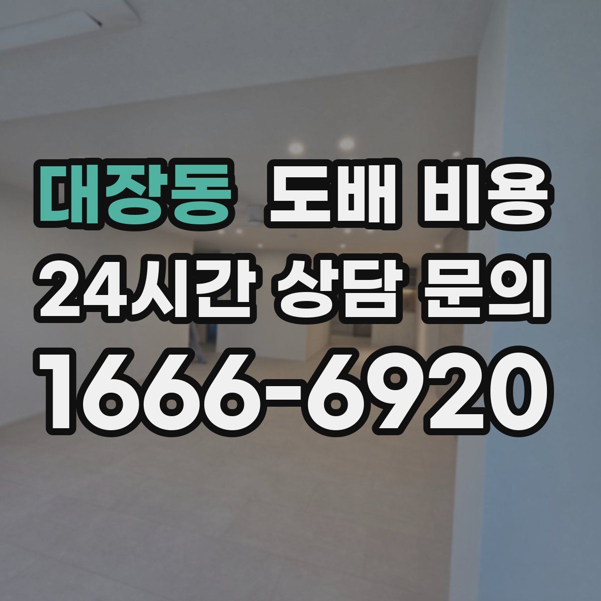 대장동 도배 비용