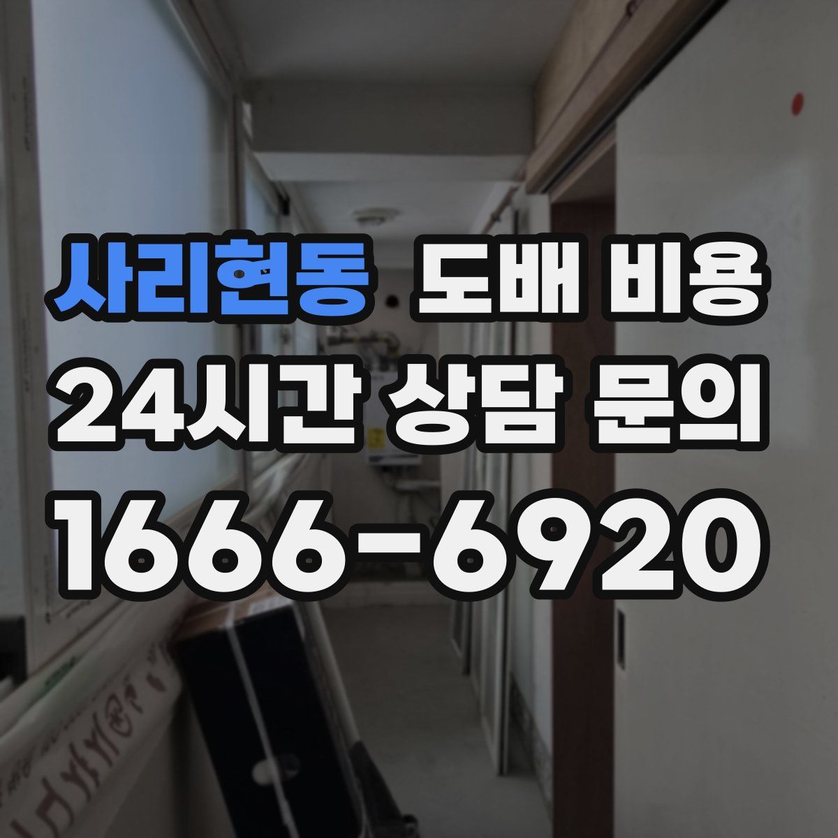 사리현동 도배 비용