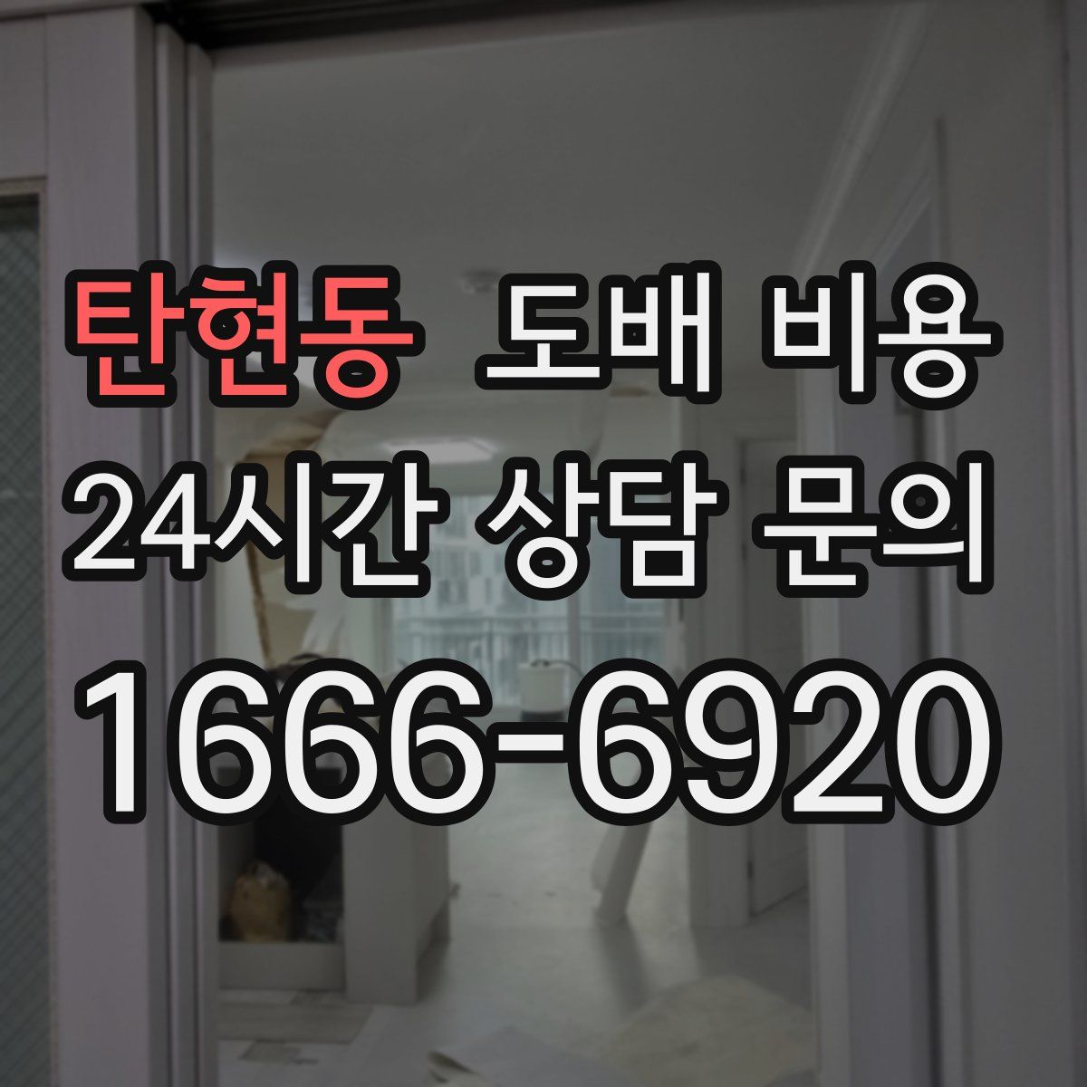탄현동 도배 비용