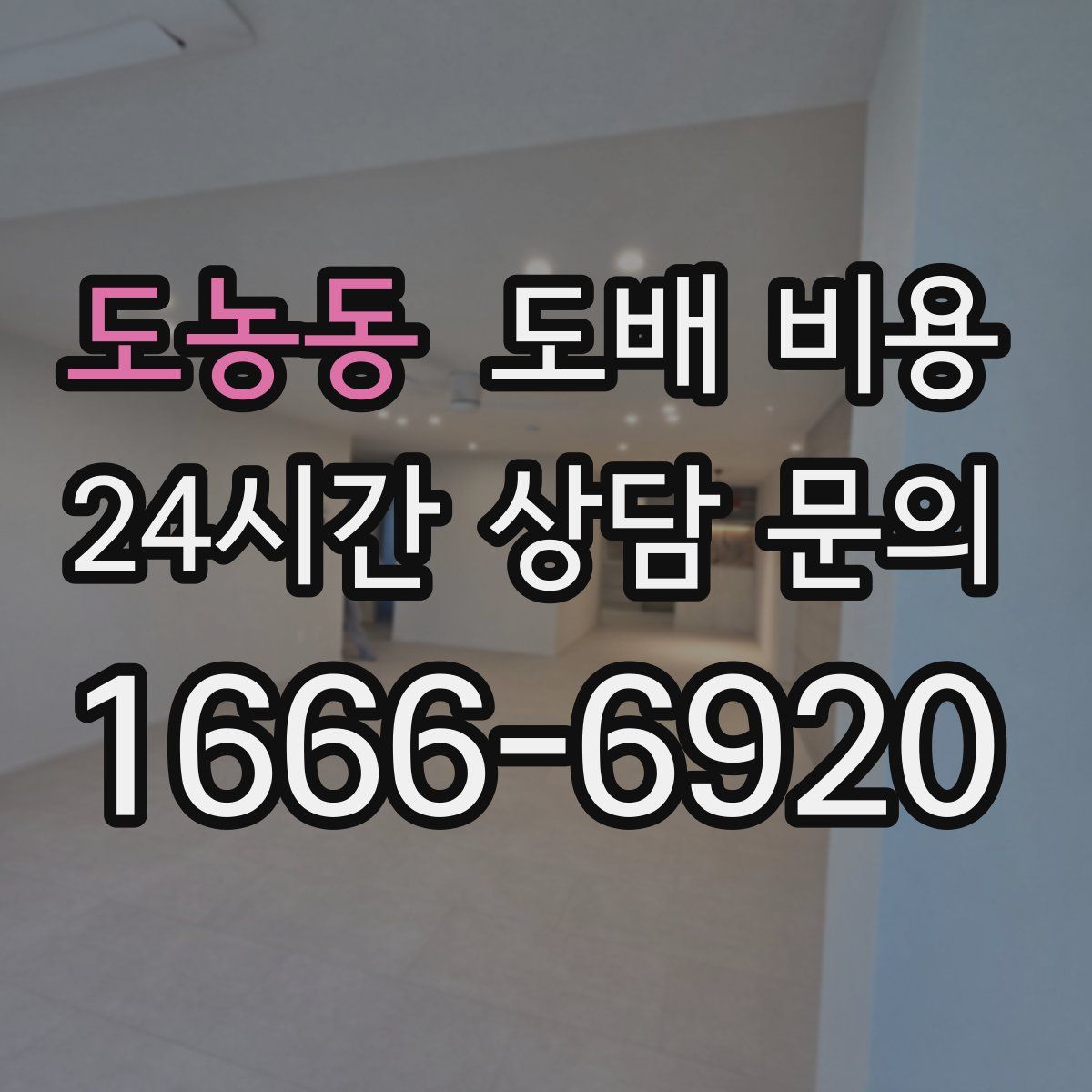 도농동 도배 비용