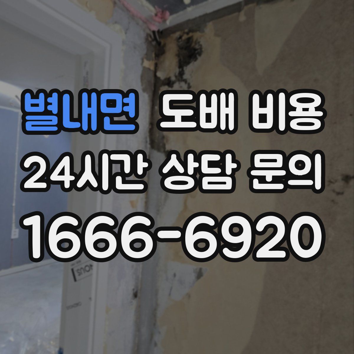 별내면 도배 비용