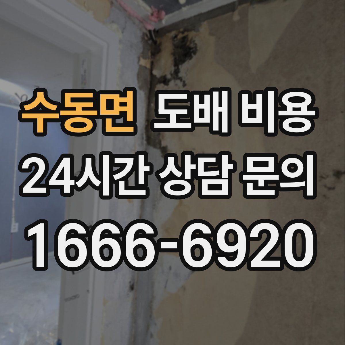 수동면 도배 비용