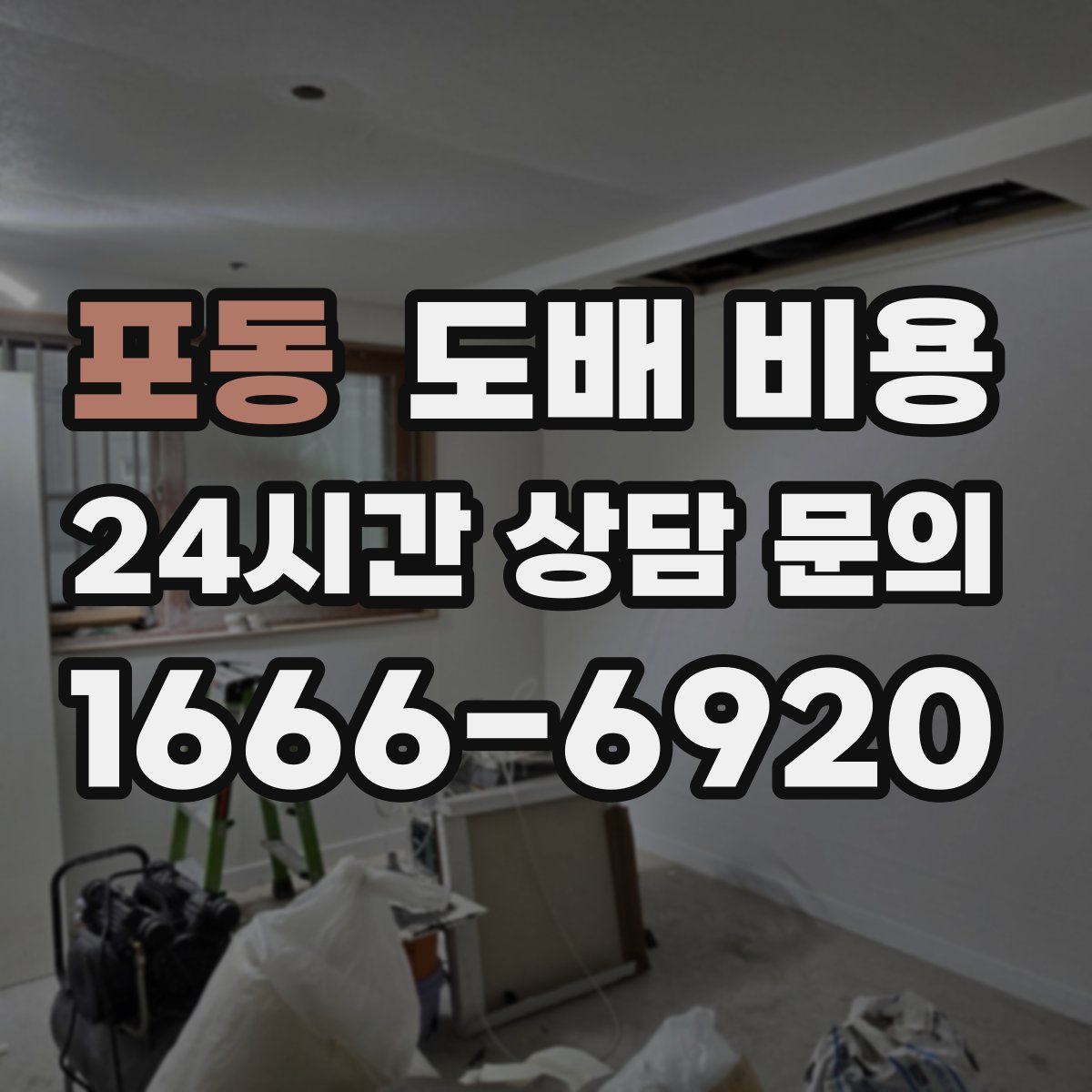 포동 도배 비용