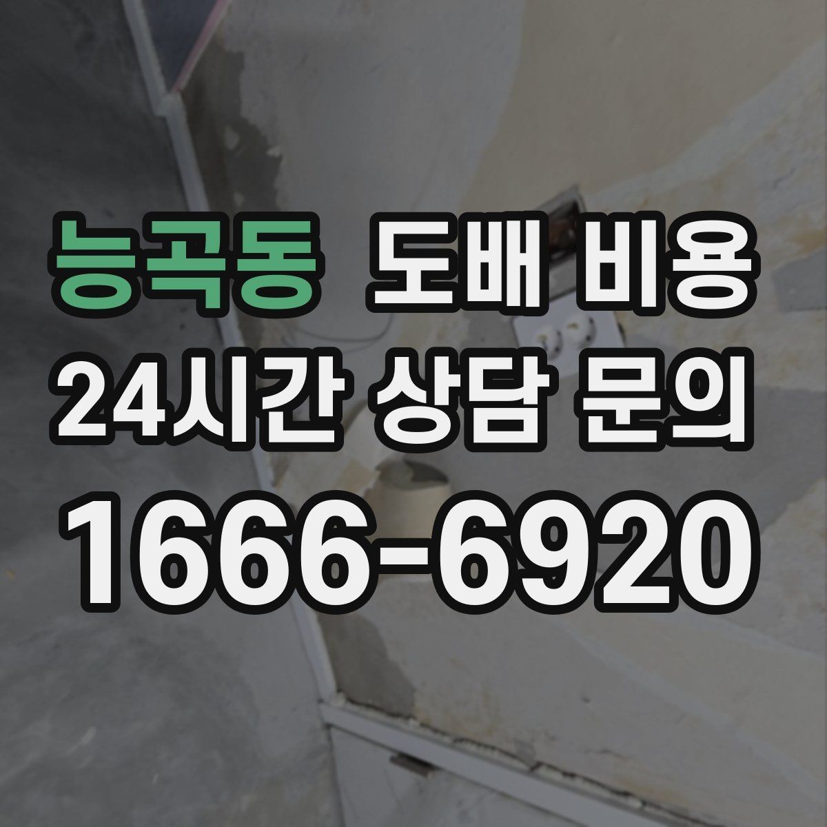 능곡동 도배 비용 판단 전에 알아야 할 기본 정보