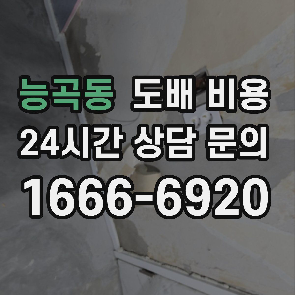 능곡동 도배 비용